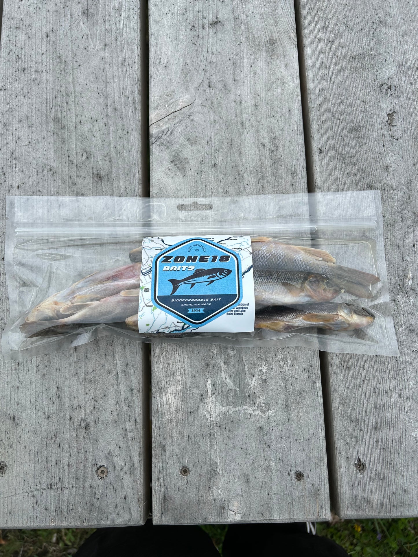 Jumbo Minnows - 1/2 Dozen Pack